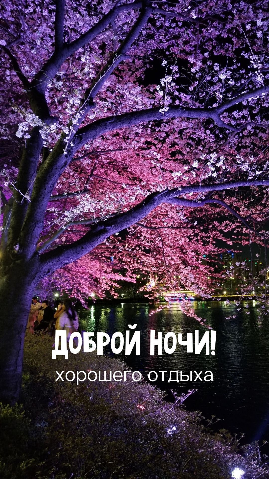 Открытка «Пожелание»: Доброй ночи! Нежное пожелание под цветущими деревьями. Тэги: красивая, цветок, настроение…
