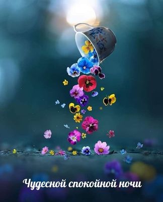 Открытка «Пожелание»: Чудесной спокойной ночи: волшебные цветы из чашки. Тэги: позитив, радость, цветок, чашка…