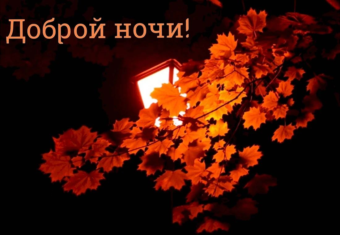 Открытка «Пожелание»: Доброй ночи! Осенний уют под фонарем. Тэги: красивая, осень, фонарь, настроение, нежная, природа…