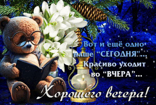 Открытка «Животное»: Добрый вечер и хорошего настроения!. Тэги: утро, красивая, кофе, сердце, чай, стих, чашка…