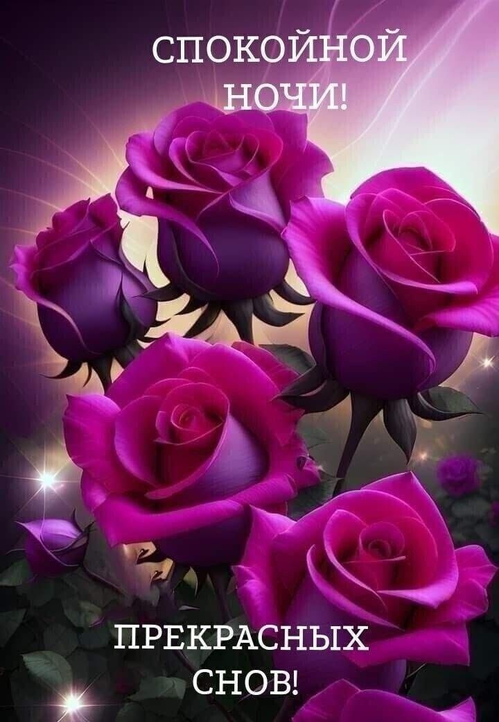 Открытка «Пожелание»: Спокойной ночи и прекрасных снов!. Тэги: красивая, цветок, настроение, нежная, свет, роза…