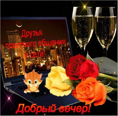 Открытка «Кот»: Добрый вечер, друзья! Приятного общения!. Тэги: пожелание, улыбка, красивая, кофе, позитив, радость…