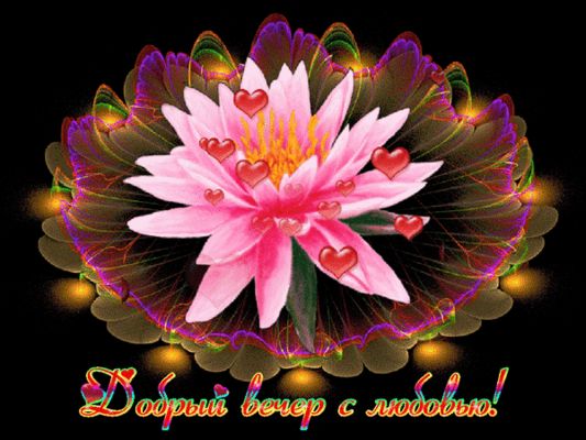 Открытка «Красивая»: Добрый вечер с любовью! Нежная мерцающая открытка. Тэги: позитив, радость, сердце, цветок…