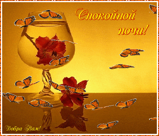 Открытка «Пожелание»: Спокойной ночи! Добра Вам и ярких снов. Тэги: красивая, цветок, нежная, бабочка, бокал, добро…