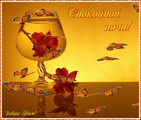 Открытка «Пожелание»: Спокойной ночи! Добра Вам и ярких снов. Тэги: красивая, цветок, нежная, бабочка, бокал, добро…