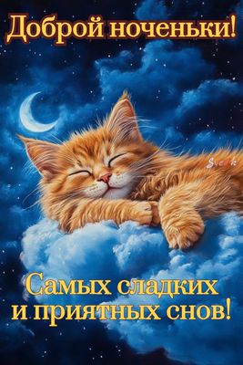 Открытка «Кот»: Добрый ноченьки! Сладких снов, милый кот на облаке. Тэги: животное, настроение, милый, облако, небо…
