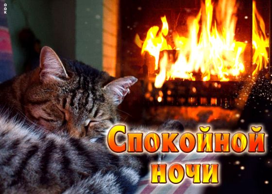 Открытка «Кот»: Спокойной ночи: уютный кот у камина. Тэги: животное, пожелание, тепло, настроение, любимый, благополу…