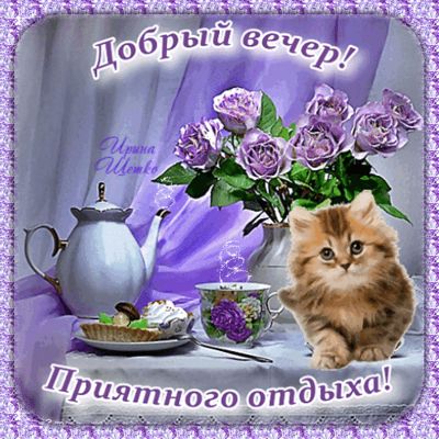 Открытка «Кот»: Добрый вечер и приятного отдыха! Уютный кот. Тэги: животное, красивая, кофе, чай, стол, чашка, настро…