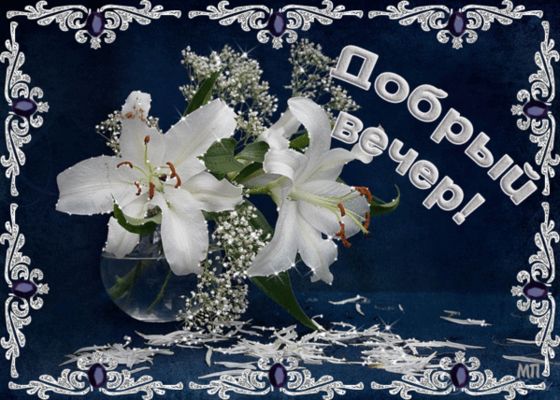 Открытка «Красивая»: Добрый вечер — мерцающая открытка с лилиями. Тэги: радость, цветок, настроение, нежная, рамка…