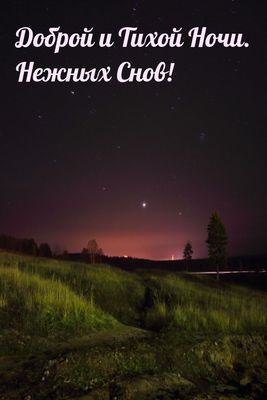 Открытка «Пожелание»: Доброй ночи и нежных снов. Тэги: красивая, позитив, радость, настроение, нежная, дерево, трава…