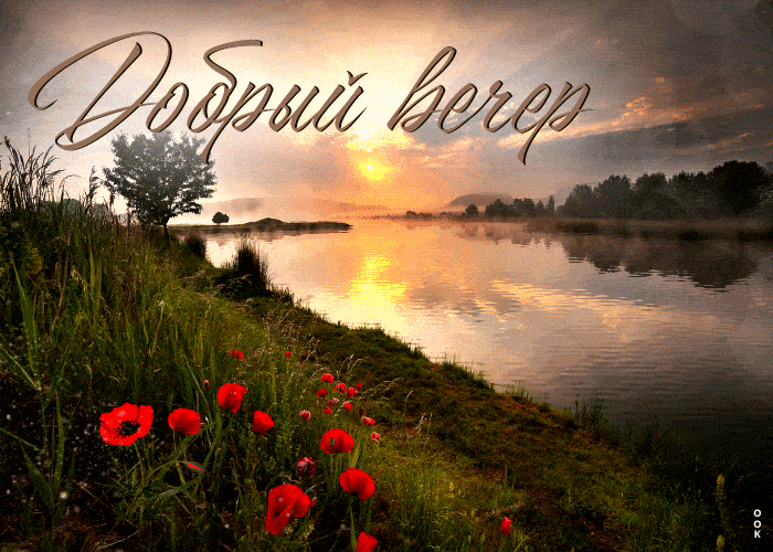 Открытка «Красивая»: Добрый вечер: летний пейзаж с маками у реки. Тэги: цветок, лето, трава, природа, солнце, пейзаж…