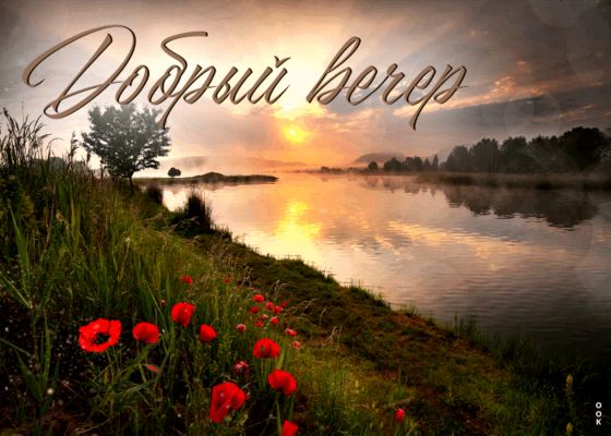 Открытка «Красивая»: Добрый вечер: летний пейзаж с маками у реки. Тэги: цветок, лето, трава, природа, солнце, пейзаж…