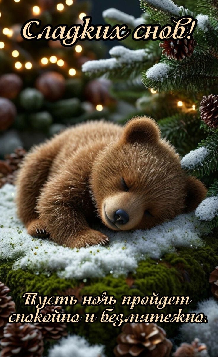 Открытка «Животное»: Милая открытка «Сладких снов!» с медвежонком. Тэги: красивая, зима, природа, милая, снег, лес…