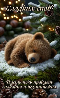 Открытка «Животное»: Милая открытка «Сладких снов!» с медвежонком. Тэги: красивая, зима, природа, милая, снег, лес…