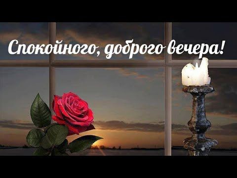 Открытка «Пожелание»: Спокойного и доброго вечера. Тэги: красивая, цветок, окно, настроение, подоконник, роза, добрый…