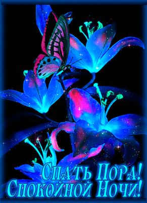 Открытка «Пожелание»: Спокойной ночи! Нежная открытка с бабочкой и цветами. Тэги: красивая, цветок, настроение, нежная…