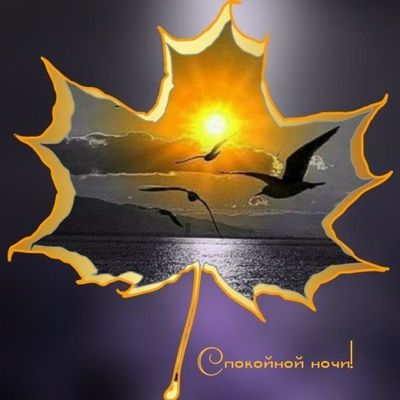 Открытка «Животное»: Спокойной ночи: осенняя красота и природа. Тэги: пожелание, осень, настроение, птица, природа…