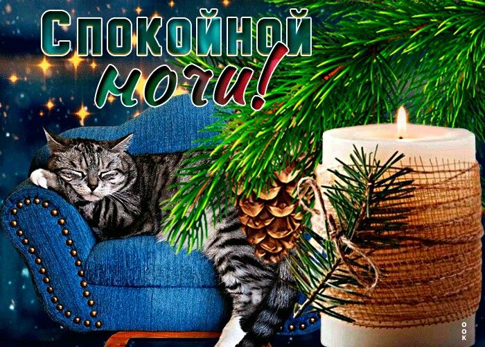 Открытка «Кот»: Спокойной ночи: уютный кот и свеча. Тэги: животное, пожелание, красивая, настроение, шишка, кресло…