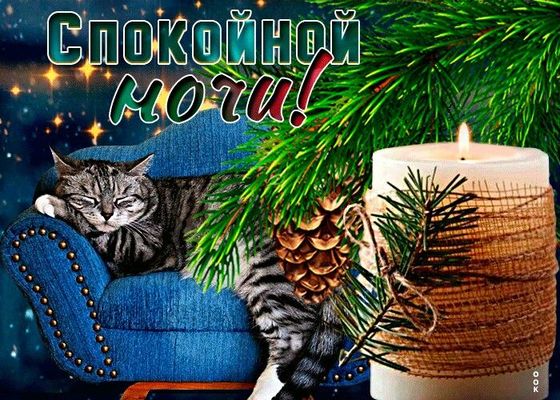 Открытка «Кот»: Спокойной ночи: уютный кот и свеча. Тэги: животное, пожелание, красивая, настроение, шишка, кресло…