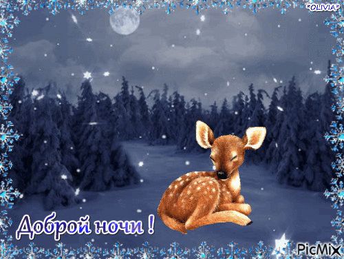 Открытка «Животное»: Доброй ночи! Зимняя сказка с олененком. Тэги: красивая, зима, природа, милая, снег, лес, благопо…