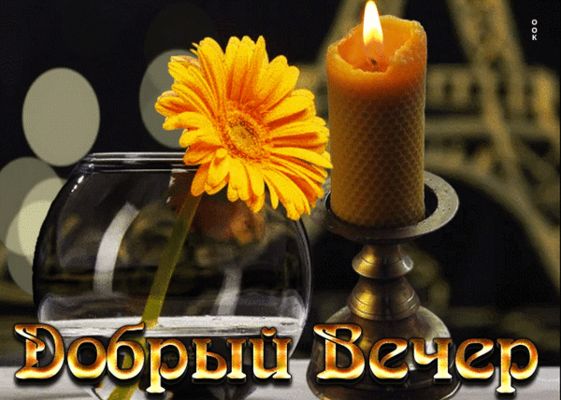 Открытка «Пожелание»: Добрый вечер: уют и тепло для тебя. Тэги: красивая, цветок, настроение, нежная, милая, ваза…