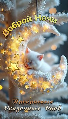 Открытка «Кот»: Доброй ночи и прекрасных снов. Тэги: животное, пожелание, красивая, сказка, нежная, милая, звезда, сон…