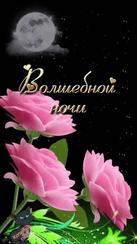 Открытка «Цветок»: Красивые розы на фоне луны | Сладких снов. Тэги: вдохновение, природа, роза, нежный, любовь, звезда…
