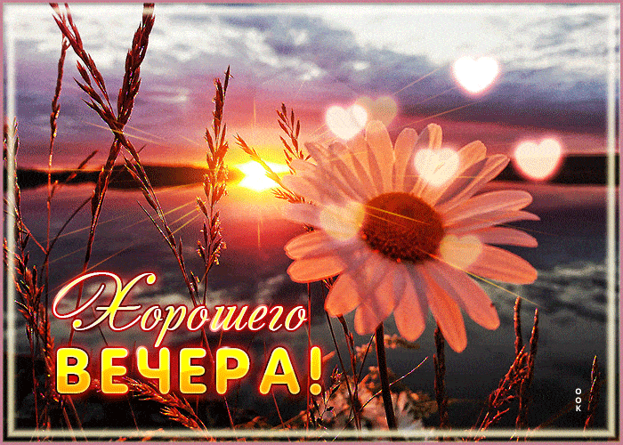 Открытка «Красивая»: Красивая вечерняя открытка с ромашкой. Тэги: позитив, радость, настроение, нежная, трава, природа…