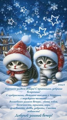 Открытка «Кот»: Добрый зимний вечер с котятами. Тэги: животное, пожелание, сказка, зима, милый, котик, снег, котёнок…