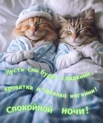 Открытка «Кот»: Сказочная кошачья ночь. Тэги: нежная, котёнок, глаза, сон, ангел, одеяло, кровать, доброй ночи, уютный…