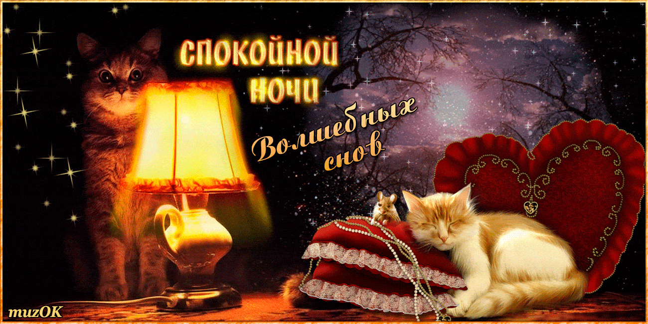 Открытка «Сердце»: Коты на ночь: Спокойной ночи, волшебных снов. Тэги: уют, милый, добрый вечер, ночь, уютный, спокой…