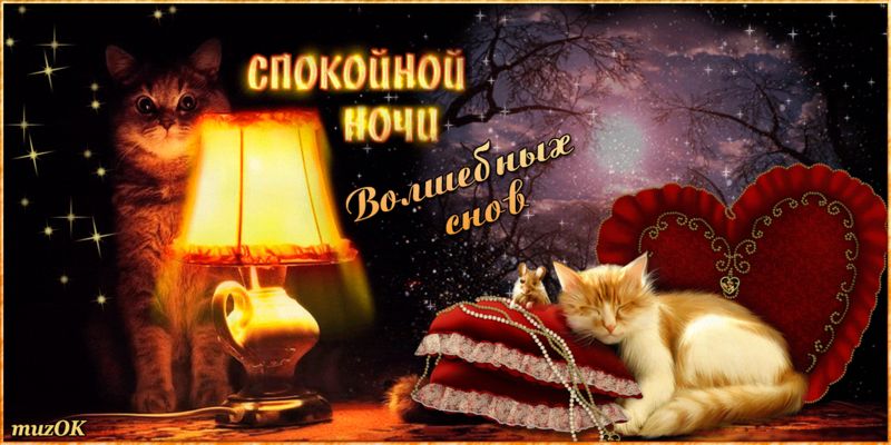 Открытка «Сердце»: Коты на ночь: Спокойной ночи, волшебных снов. Тэги: уют, милый, добрый вечер, ночь, уютный, спокой…