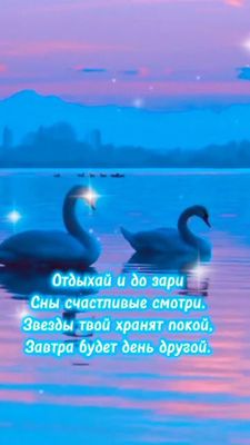 Открытка «Природа»: С доброй ночью! Открытка со сванями. Тэги: спокойствие, любовь, звезда, сон, романтика, утка…