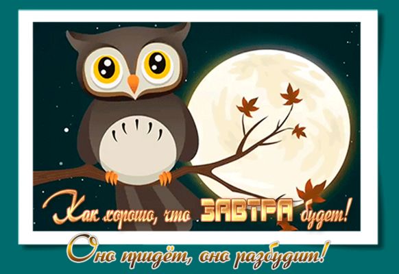 Открытка «Утро»: Мудрая сова и светлая луна: доброе утро с позитивом. Тэги: осень, мудрость, природа, цитата, свет…