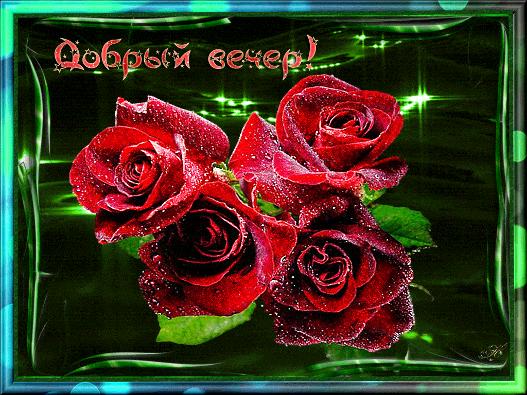 Открытка «Женщина»: Добрый вечер: Красивые розы с мерцанием. Тэги: девушка, красивая, радость, цветок, настроение…