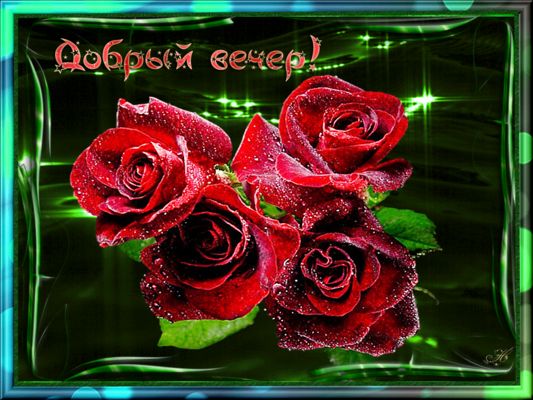 Открытка «Женщина»: Добрый вечер: Красивые розы с мерцанием. Тэги: девушка, красивая, радость, цветок, настроение…