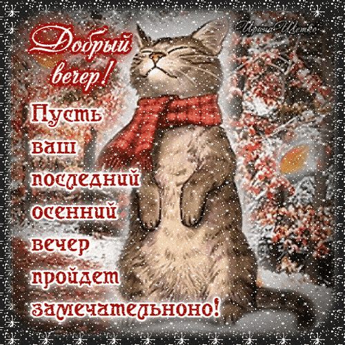 Открытка «Кот»: Добрый вечер! Пусть ваш осенний вечер пройдёт замечательно!. Тэги: животное, пожелание, юмор, приколь…