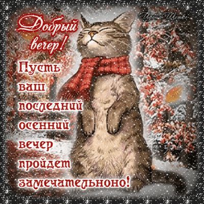 Открытка «Кот»: Добрый вечер! Пусть ваш осенний вечер пройдёт замечательно!. Тэги: животное, пожелание, юмор, приколь…