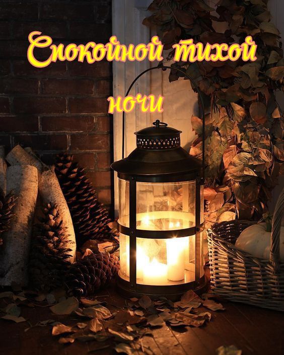 Открытка «Пожелание»: Спокойной ночи: уют и благополучие. Тэги: осень, настроение, природа, праздник, шишка, благопол…