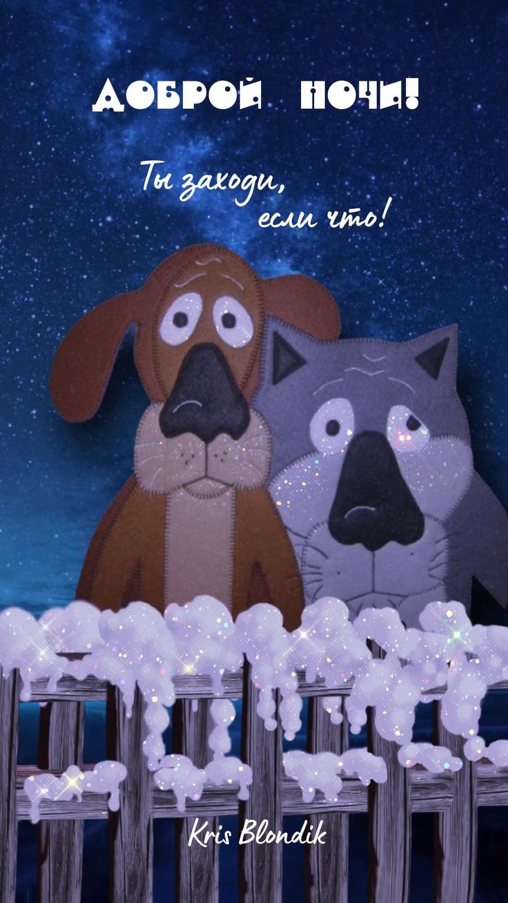 Открытка «Кот»: Добрый Ночи! Сладких Снов. Тэги: животное, прикольная, смешная, друг, позитив, настроение, зима, милая…