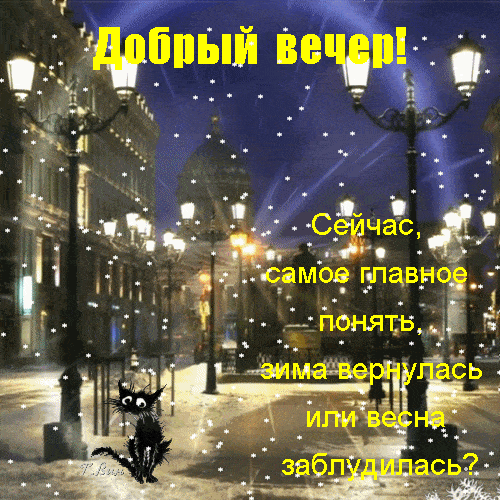 Открытка «Кот»: Добрый вечер: зима или весна заблудилась?. Тэги: юмор, прикольная, фонарь, настроение, весна, зима…