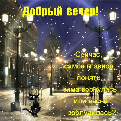 Открытка «Кот»: Добрый вечер: зима или весна заблудилась?. Тэги: юмор, прикольная, фонарь, настроение, весна, зима…