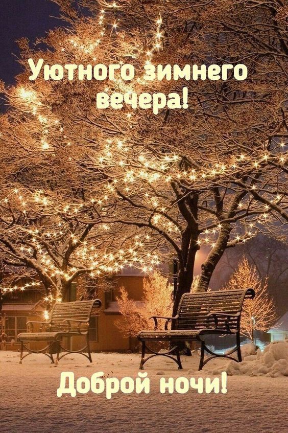 Открытка «Красивая»: Уютного зимнего вечера и Доброй ночи!. Тэги: нежная, зима, дерево, снег, пейзаж, вечер, гирлянда…