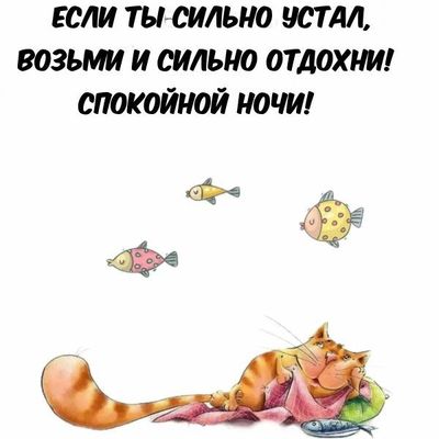Открытка «Кот»: Спокойной ночи: если сильно устал, отдохни!. Тэги: животное, пожелание, юмор, прикольная, смешная…