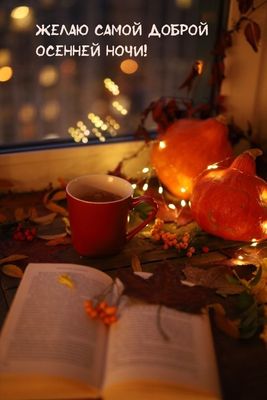 Открытка «Красивая»: Самой доброй осенней ночи. Тэги: осень, настроение, книга, теплый, гирлянда, ночь, оригинал…