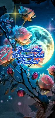 Открытка «Красивая»: Добрый вечер! Шлю тебе свой Привет!. Тэги: позитив, цветок, настроение, нежная, привет, роза…