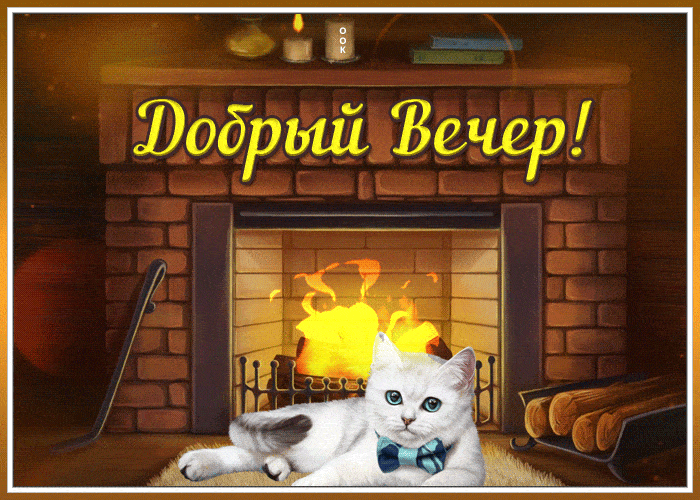 Открытка «Кот»: Добрый Вечер! Уют с милым котиком. Тэги: животное, красивая, позитив, радость, настроение, милая, дом…