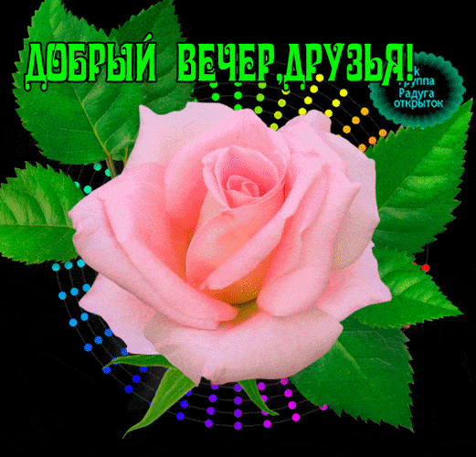 Открытка «Красивая»: Добрый вечер, друзья! Роза блестящая. Тэги: позитив, радость, цветок, настроение, нежная, милая…