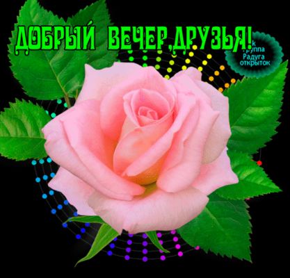 Открытка «Красивая»: Добрый вечер, друзья! Роза блестящая. Тэги: позитив, радость, цветок, настроение, нежная, милая…