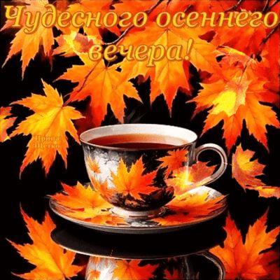 Открытка «Пожелание»: Чудесного осеннего вечера! Теплое пожелание. Тэги: красивая, чай, осень, чашка, настроение…